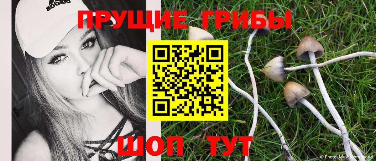 купить закладку  Вход с VPN  Малоярославец  Галлюциногенные грибы Cubensis 