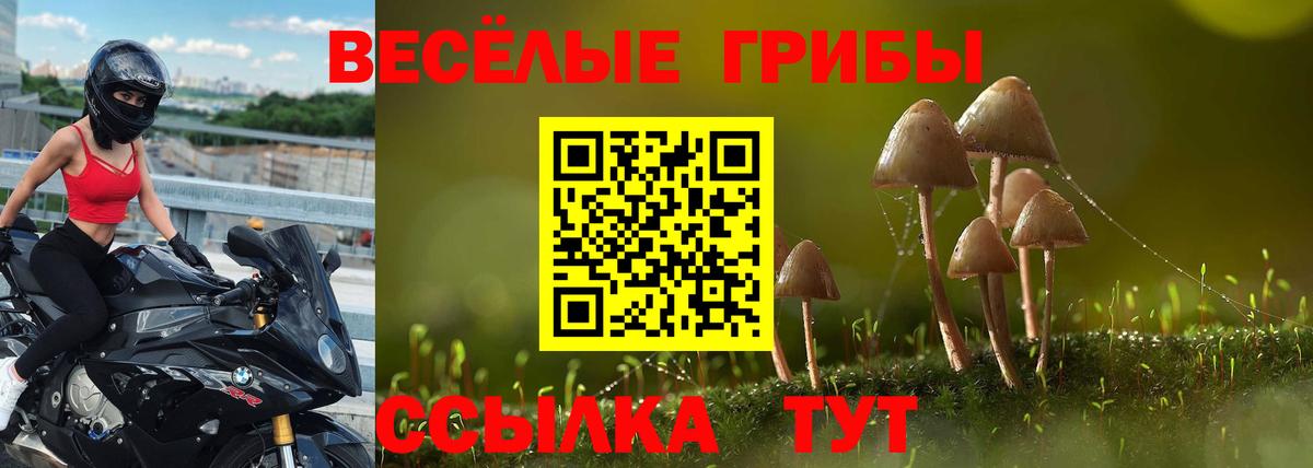 Псилоцибиновые грибы мухоморы Малоярославец